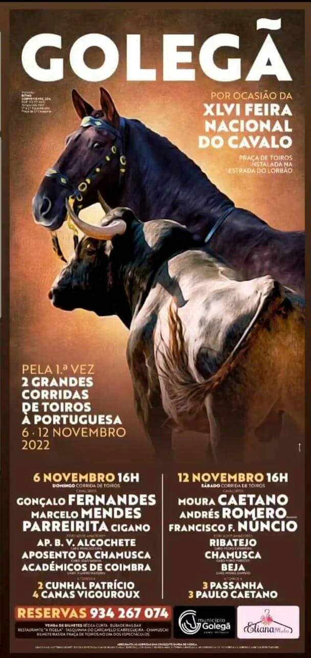 6 y 12 de Noviembre, toros en Golegã