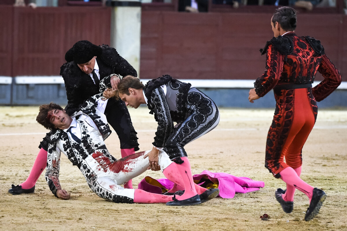 FERIA DE OTOÑO: Ángel Sánchez, «cornada en el muslo izquierdo y traumatismo craneoencefálico»