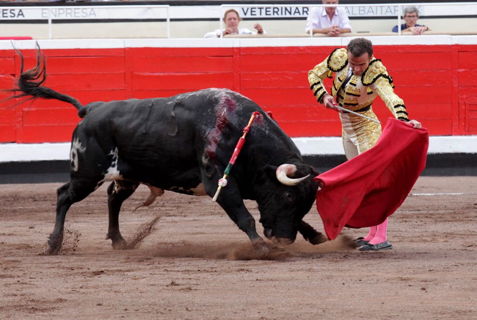 La vida de un torero (Damián Castaño) antes y después de Cenicientos