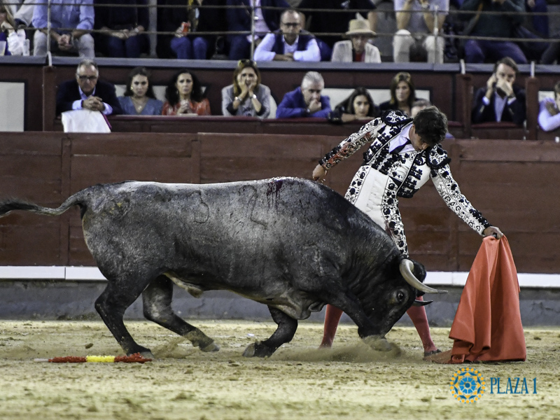 FERIA DE OTOÑO:una seria faena de Román y toreo caro de De Torres en Madrid