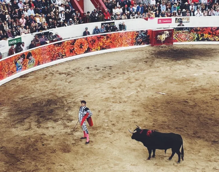 El toro, rey de la Fiesta: Trofeos desiertos en Lima por toros “impresentables”