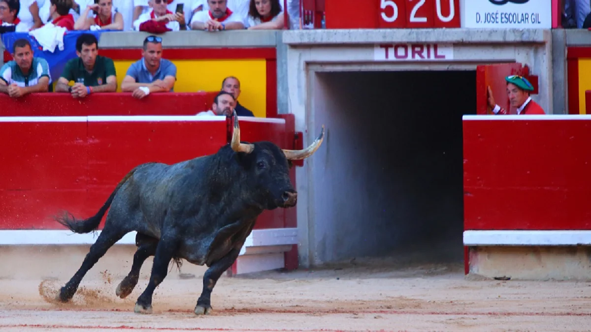 La Casa de Misericordia elige las ganaderías para San Fermín 2023
