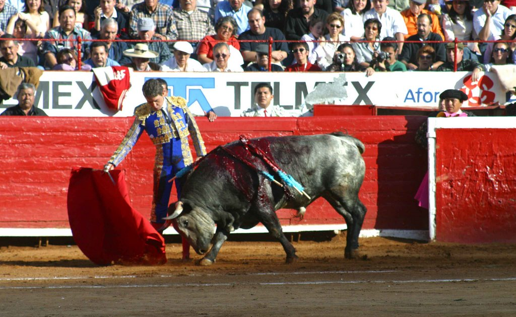XIX años sin el Rey