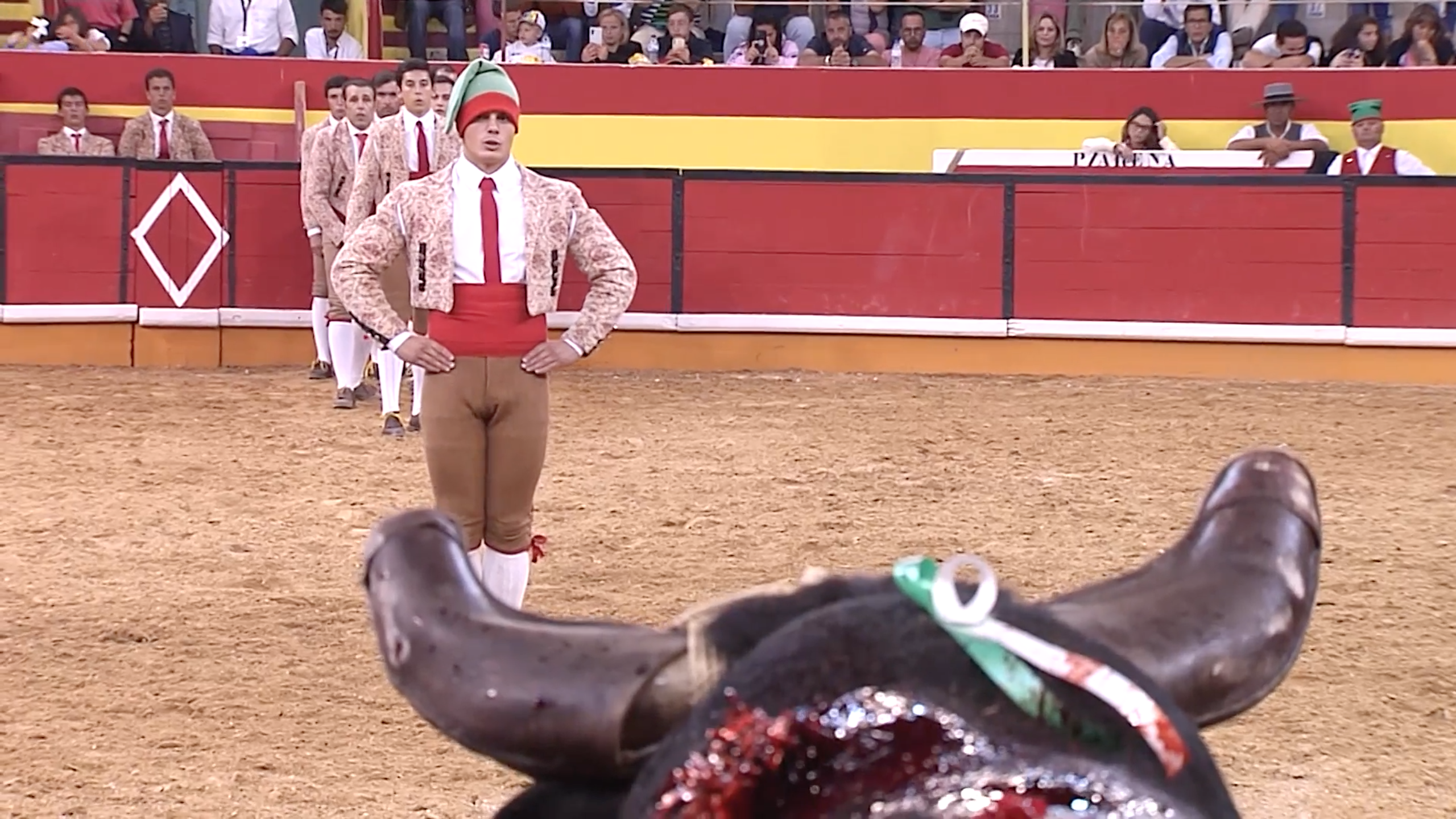Crece la tauromaquia en Portugal: más festejos y más público