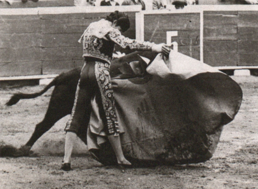 Quito 1972:Parrita, sobrino de Manolete, lanceando de capote a un Gavira