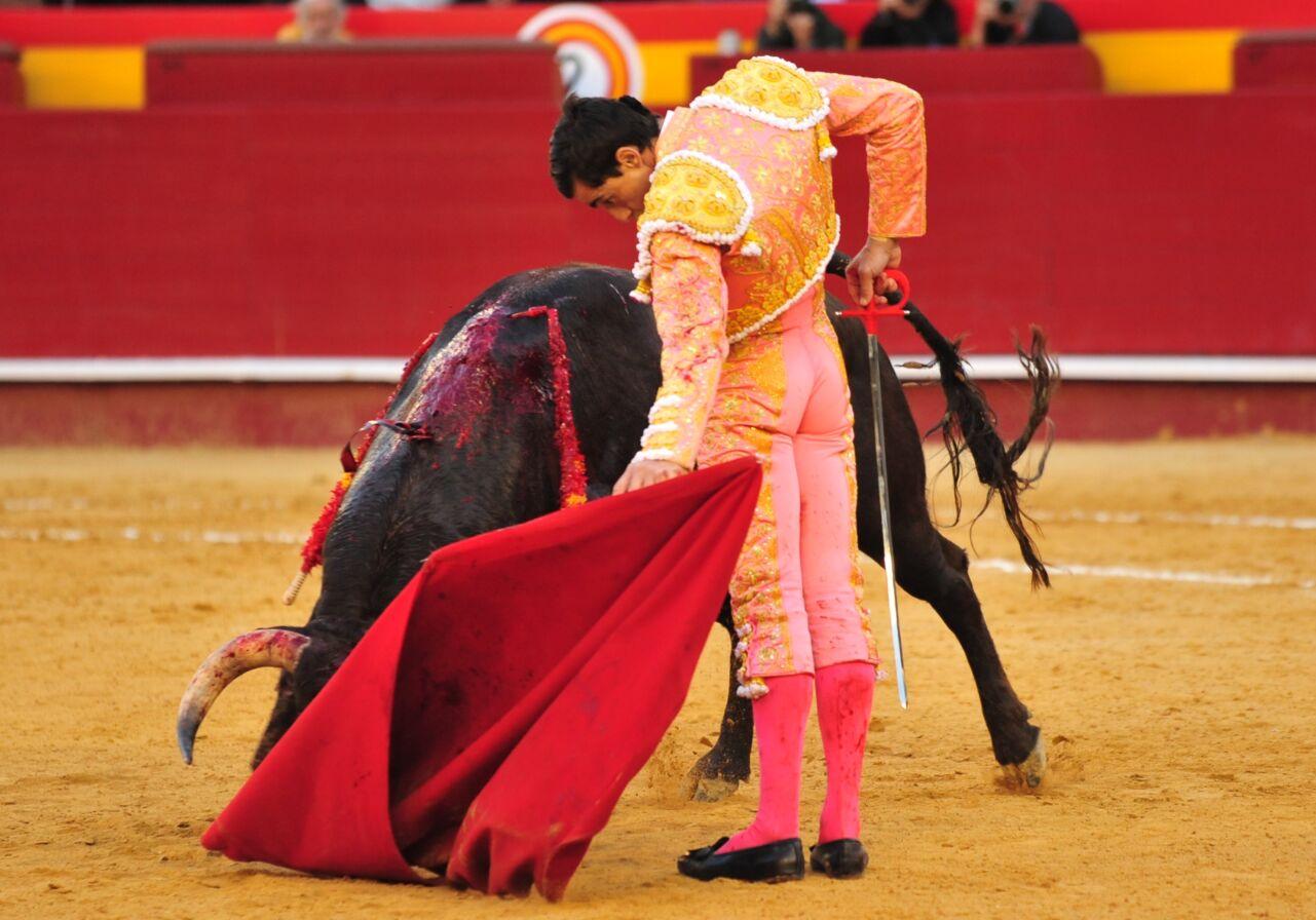 La temporada de 2023 arranca batiendo todos los registros en festejos taurinos
