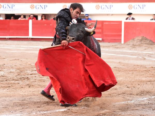 Arturo Macías, cornada de tres trayectorias en el tórax (Parte médico oficial)