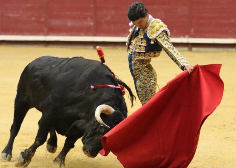 Del toro al infinito: La tauromaquia, hoy / por Pla Ventura