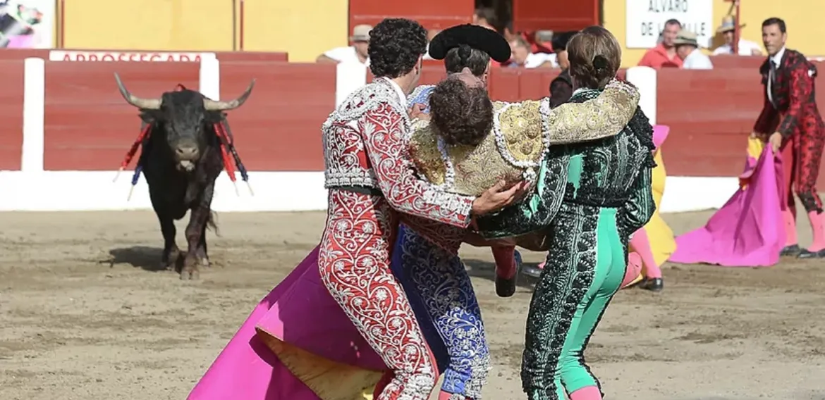 Las cornadas de Rafaelillo y Álvaro de la Calle en el templo torista de Ceret reabren la polémica del protocolo sanitario en Francia.