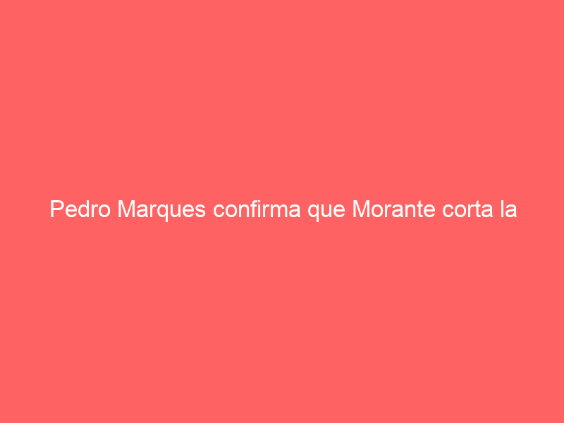 Pedro Marques confirma que Morante corta la temporada definitivamente