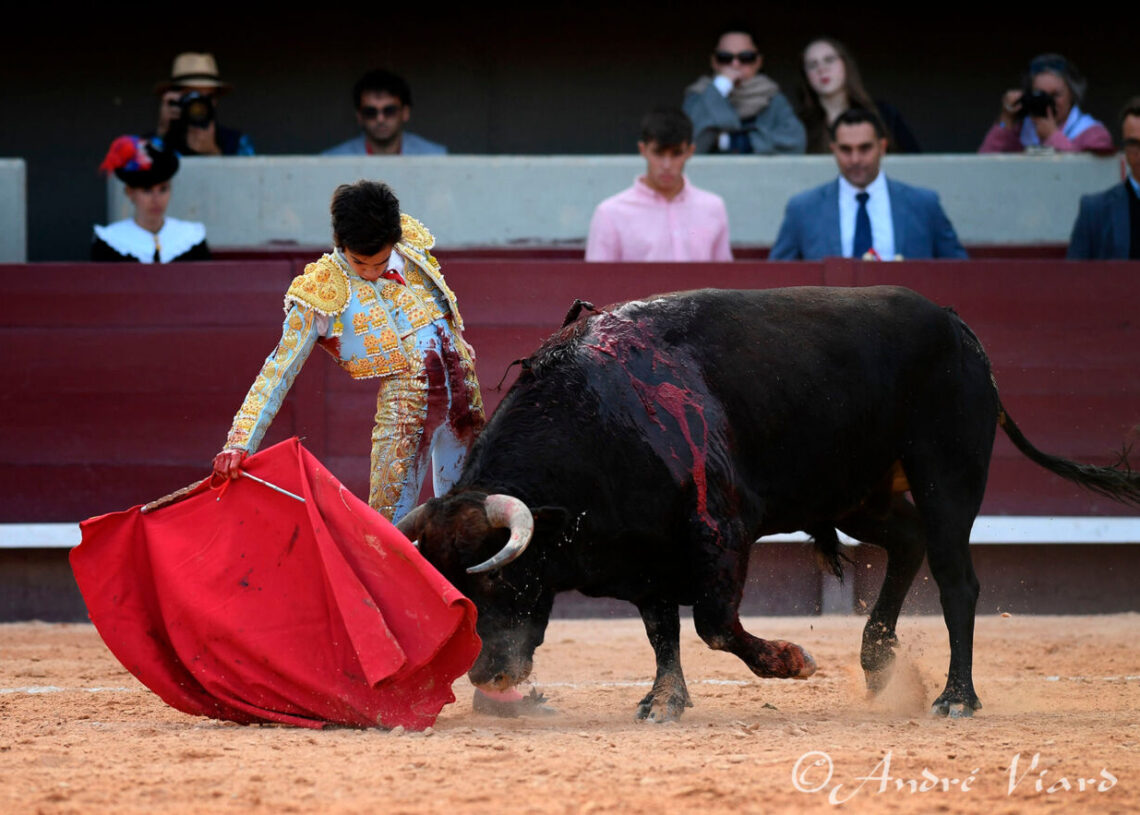Puerta Grande para Marco Pérez en un triunfal debut con picadores