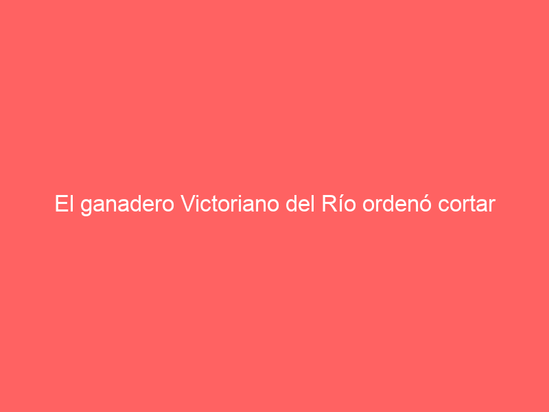 El ganadero Victoriano del Río ordenó cortar las turmas de dos de sus toros el sábado en La Maestranza