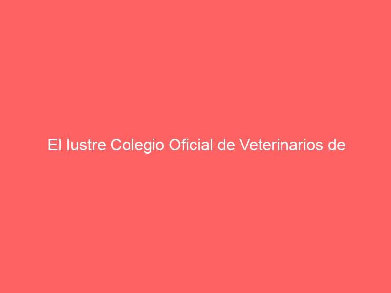 El Iustre Colegio Oficial de Veterinarios de Ciudad Real vuelve a premiar la corrida de Victorino organizada por Tauroemoción en Daimiel