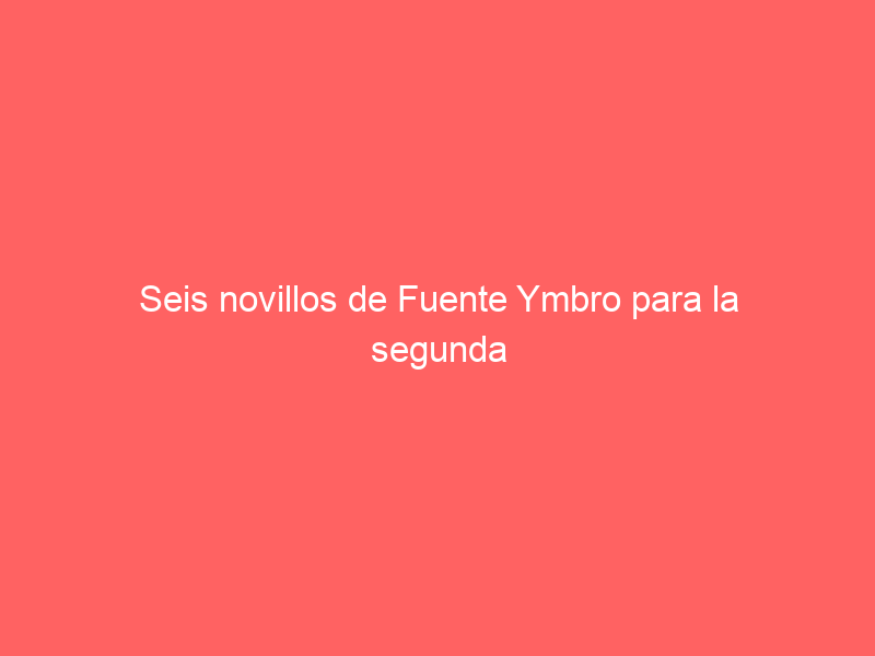 Seis novillos de Fuente Ymbro para la segunda novillada de la Feria de Otoño