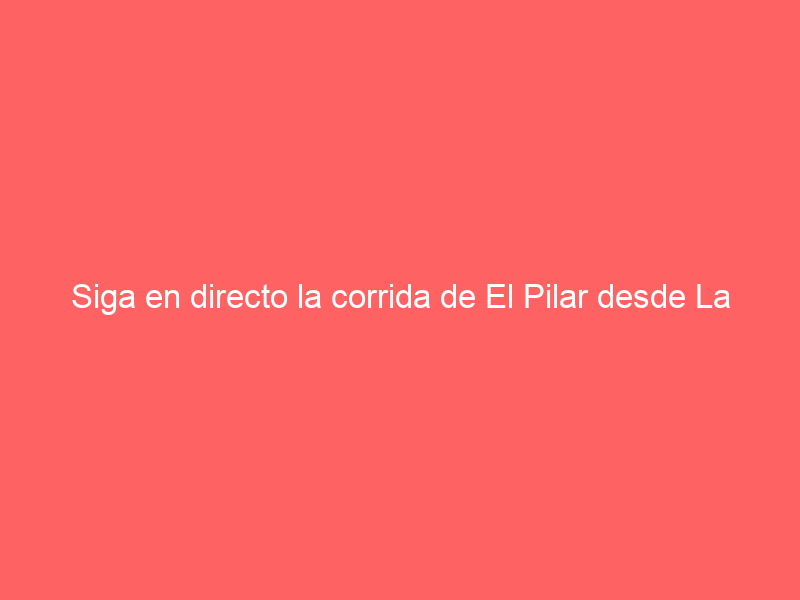 Siga en directo la corrida de El Pilar desde La Misericordia