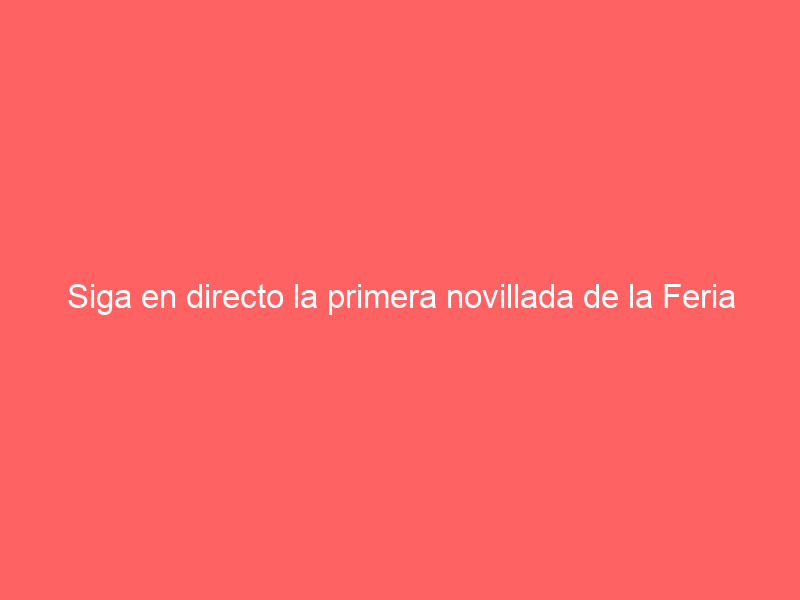 Siga en directo la primera novillada de la Feria de Otoño