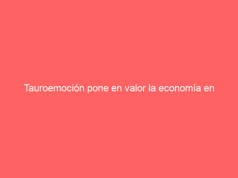 Tauroemoción pone en valor la economía en Valladolid gracias a la actividad taurina
