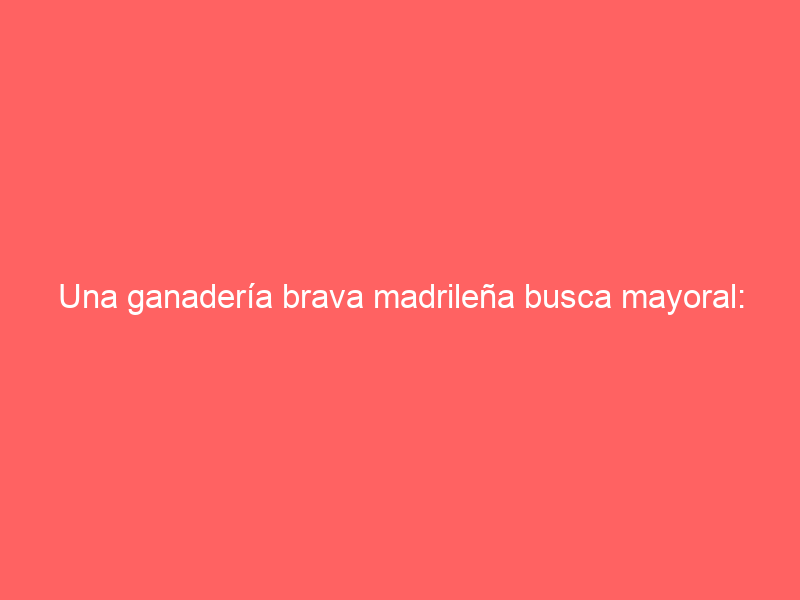 Una ganadería brava madrileña busca mayoral: ofrece contrato indefinido y vivienda en la propia finca