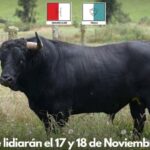 Los toros de Huagrahuasi y Triana para Latacunga