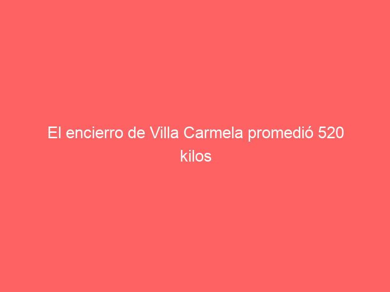 El encierro de Villa Carmela promedió 520 kilos para la Corrida de Calaveras