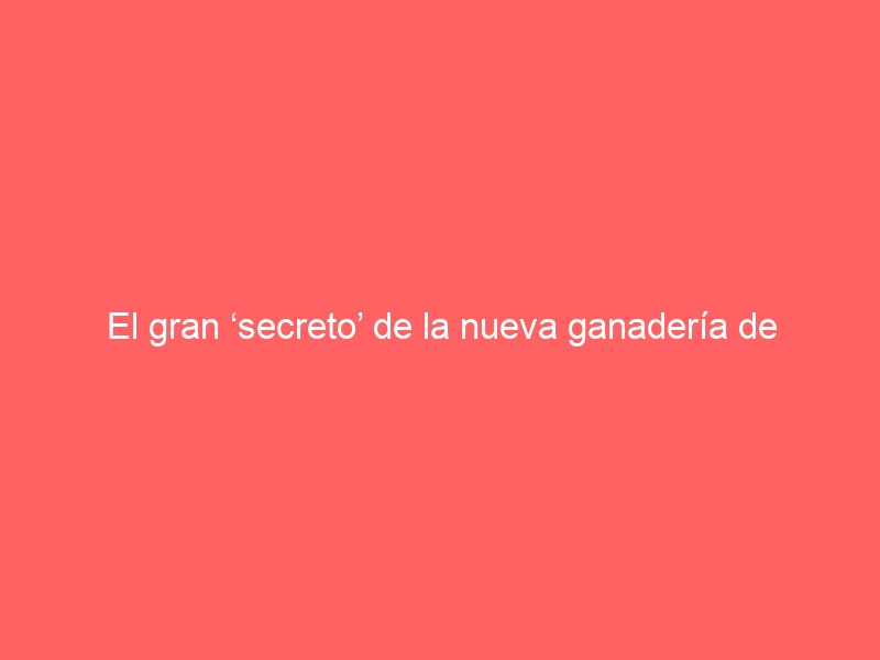 El gran ‘secreto’ de la nueva ganadería de Morante: ‘Malvaloca’ está ‘a la vera’ del gran sueño de Juan Belmonte