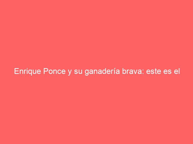 Enrique Ponce y su ganadería brava: este es el encaste que cría en su ganadería la legendaria figura