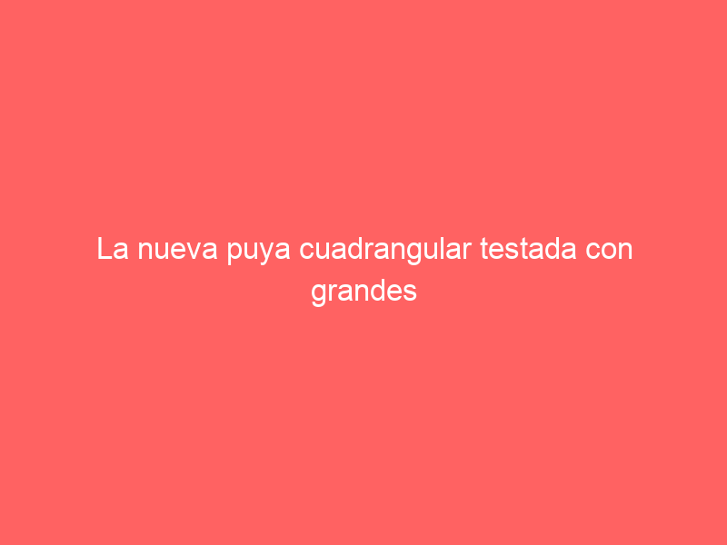 La nueva puya cuadrangular testada con grandes resultados también al otro lado del charco