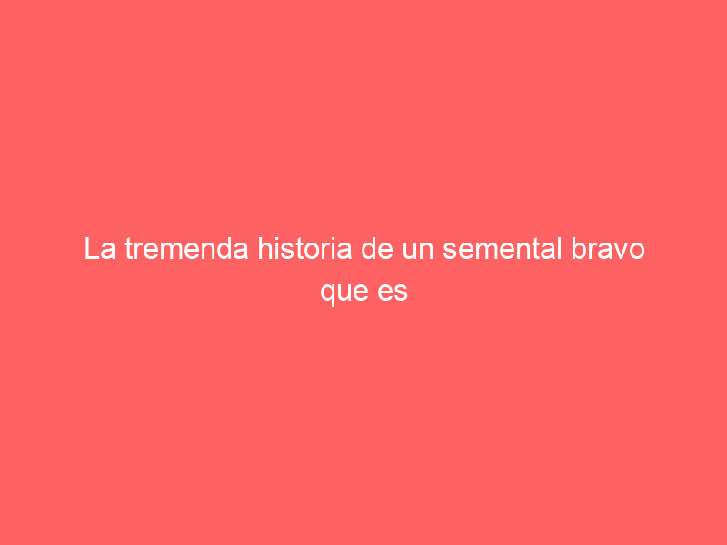 La tremenda historia de un semental bravo que es ciego y que ‘toca’ a sus becerros para reconocerlos