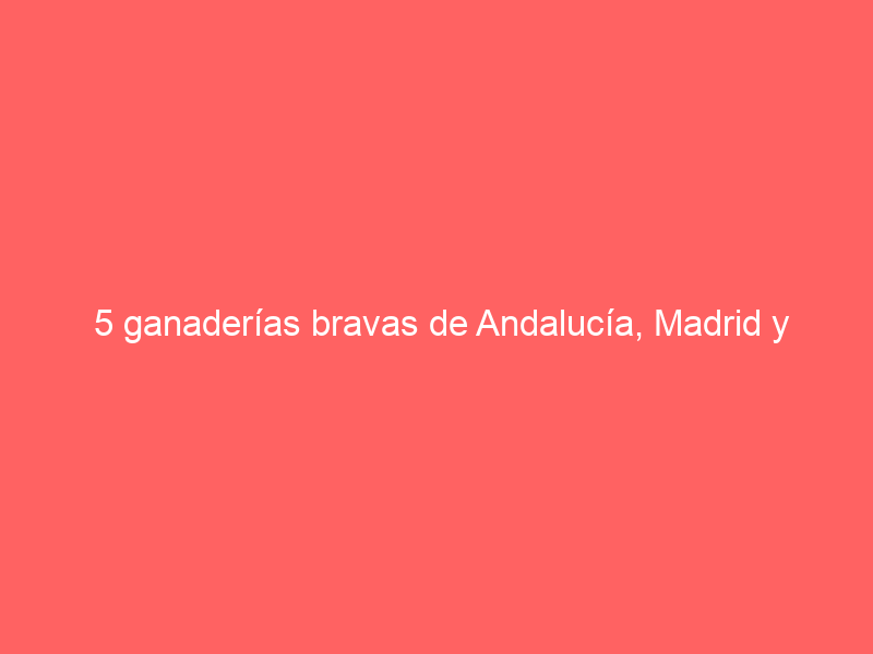 5 ganaderías bravas de Andalucía, Madrid y Castilla y León que están a la venta