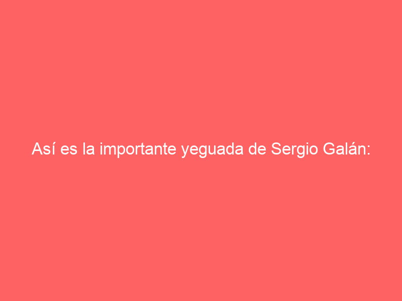 Así es la importante yeguada de Sergio Galán: su éxito en la cría de caballos