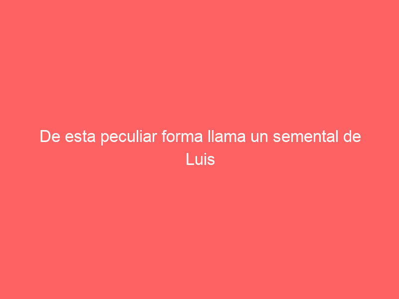 De esta peculiar forma llama un semental de Luis Algarra a su harén de vacas