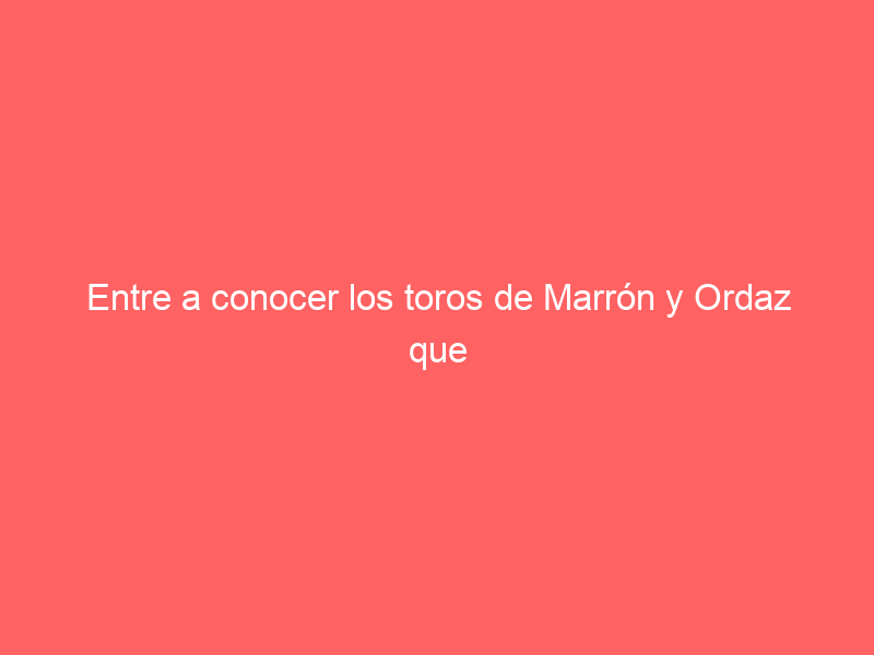 Entre a conocer los toros de Marrón y Ordaz que serán lidiados en Pachuca