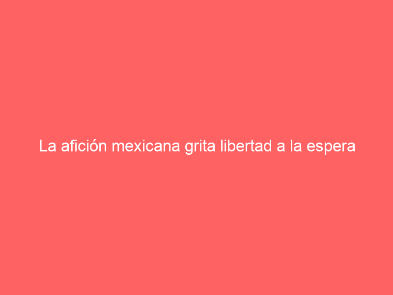 La afición mexicana grita libertad a la espera de conocer la decisión judicial que podría devolver las corridas a Insurgentes