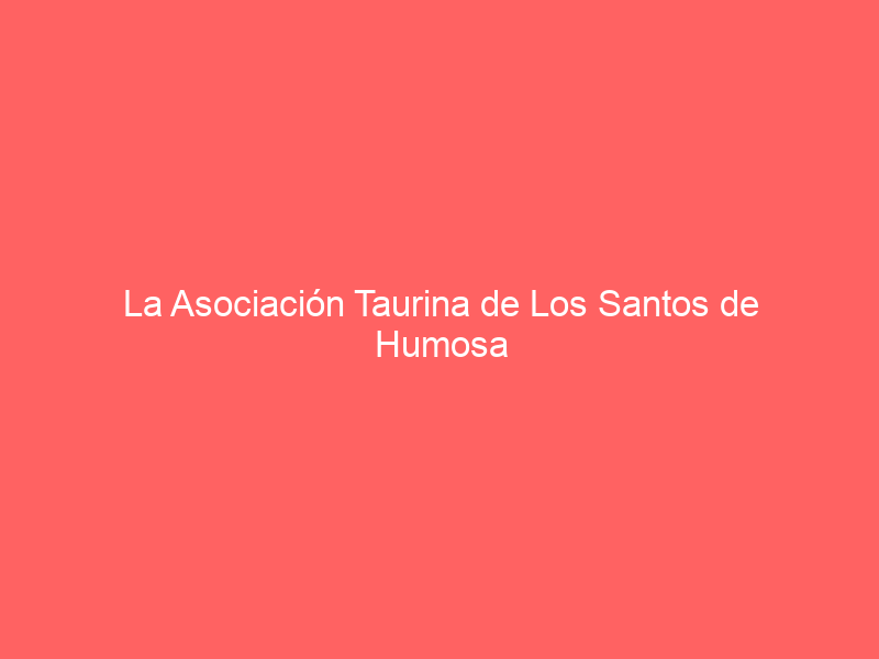 La Asociación Taurina de Los Santos de Humosa reconoce la trayectoria de David Galván