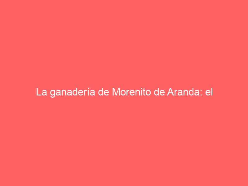 La ganadería de Morenito de Aranda: el importante número de vacas y el encaste que cría en el corazón de Toledo