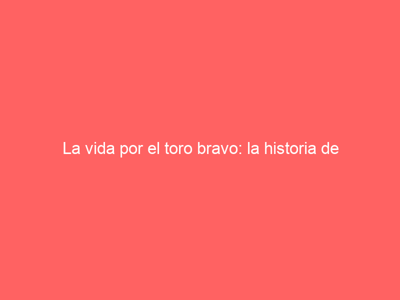 La vida por el toro bravo: la historia de Gabriel, el joven mayoral que lo ha entregado todo a este rito