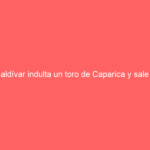 Saldívar indulta un toro de Caparica y sale a hombros con Pablo Hermoso y «Calita» en Tenancingo