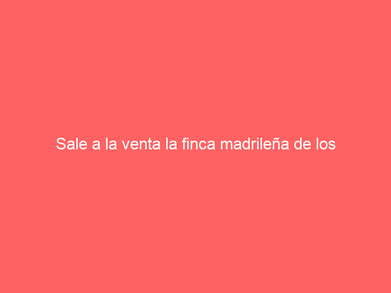 Sale a la venta la finca madrileña de los conocidos ‘carasblancas’