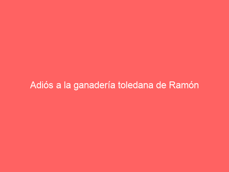 Adiós a la ganadería toledana de Ramón Carreño: vende la práctica totalidad de sus animales bravos