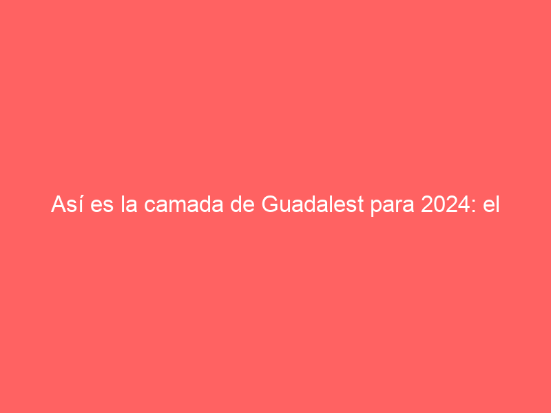 Así es la camada de Guadalest para 2024: el ilusionante ‘renacer’ de una ganadería histórica