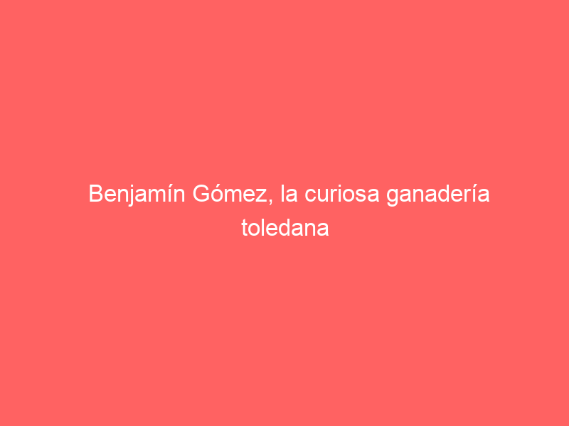 Benjamín Gómez, la curiosa ganadería toledana que ha ‘rescatado’ la parte santacolomeña de Araúz de Robles