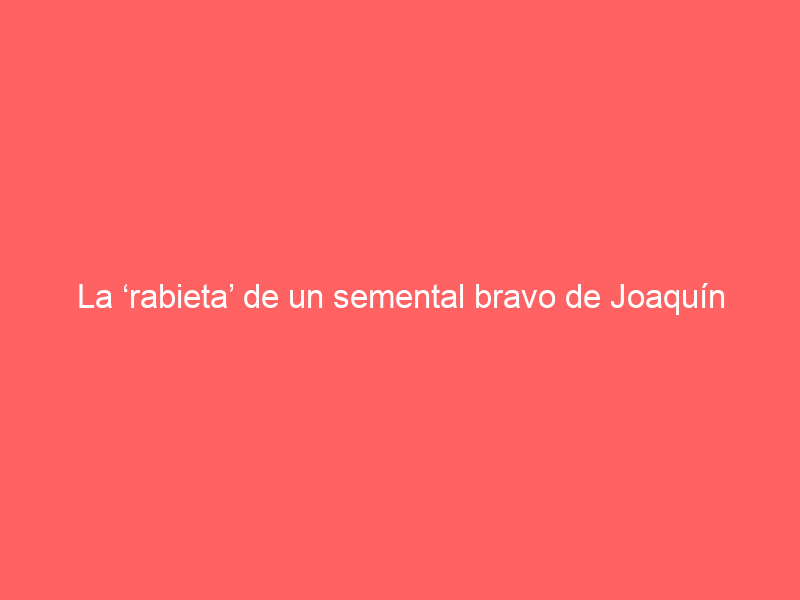 La ‘rabieta’ de un semental bravo de Joaquín García cuando el mayoral le quita su hato de vacas