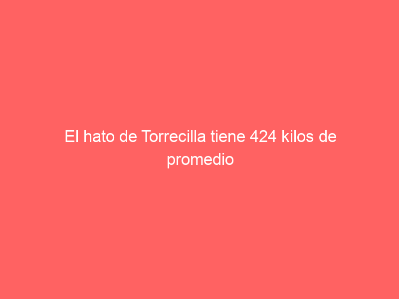 El hato de Torrecilla tiene 424 kilos de promedio para la tercera novillada sanmarqueña