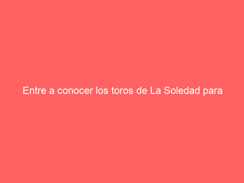 Entre a conocer los toros de La Soledad para Apizaco