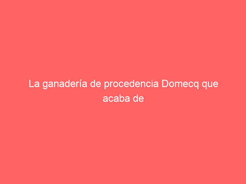 La ganadería de procedencia Domecq que acaba de ponerse a la venta en Extremadura