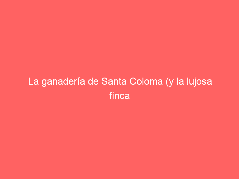 La ganadería de Santa Coloma (y la lujosa finca con plaza cubierta) puesta a la venta en Madrid por 6,5 millones