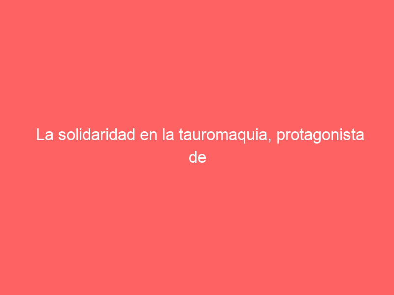 La solidaridad en la tauromaquia, protagonista de la segunda de las Jornadas Taurinas de Villaseca