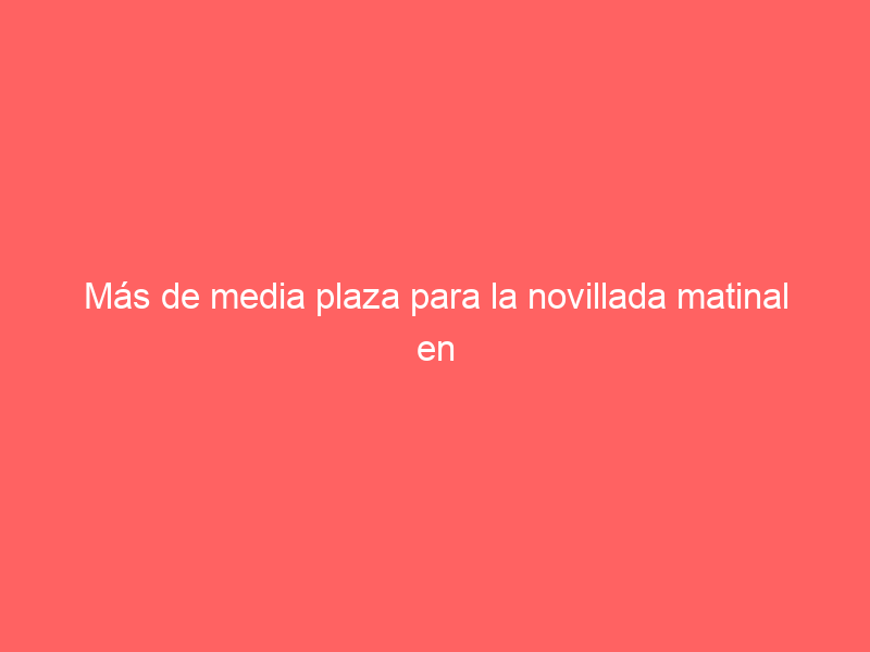 Más de media plaza para la novillada matinal en Andújar