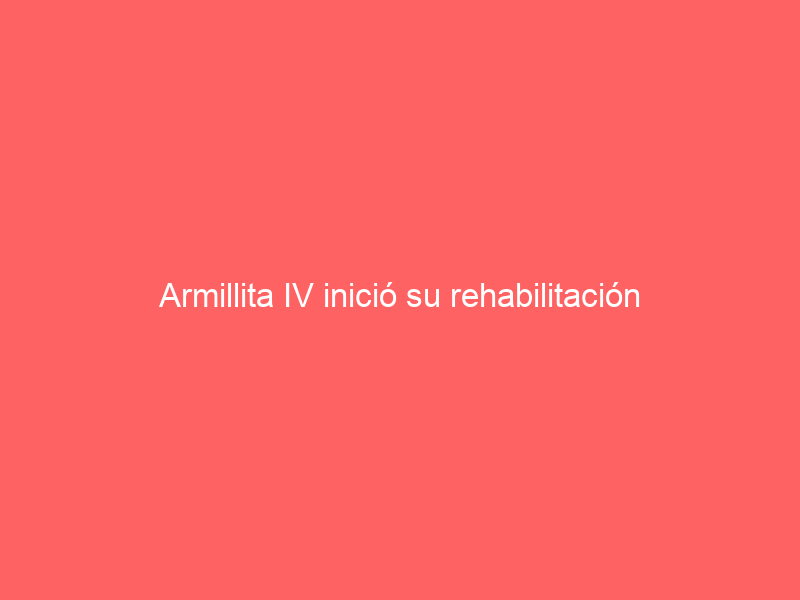 Armillita IV inició su rehabilitación