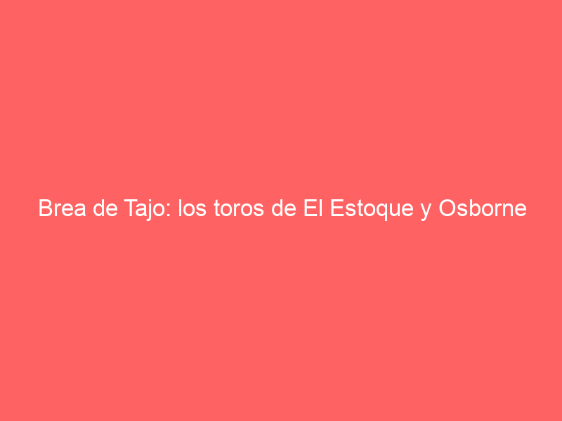 Brea de Tajo: los toros de El Estoque y Osborne que se lidiarán el domingo en la Copa Chenel